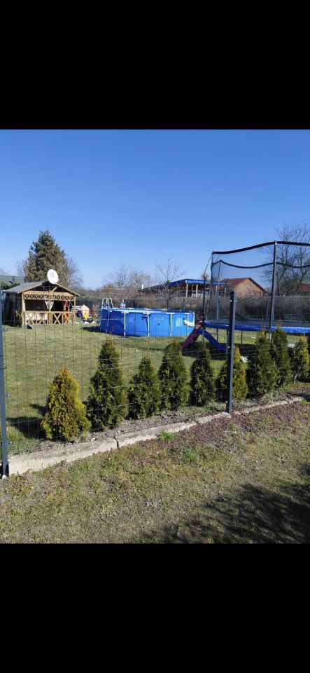 Działka rod Knurów Szczygłowice, ul. Aleja Piastów. Zdjęcie 4