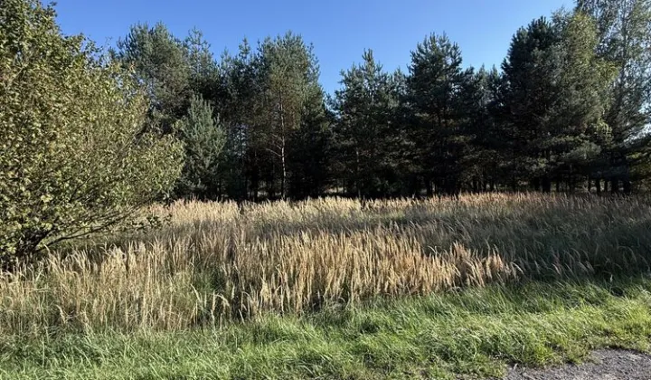 Działka budowlana Kamińsko