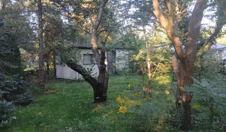 Działka rod Sokolniki-Las