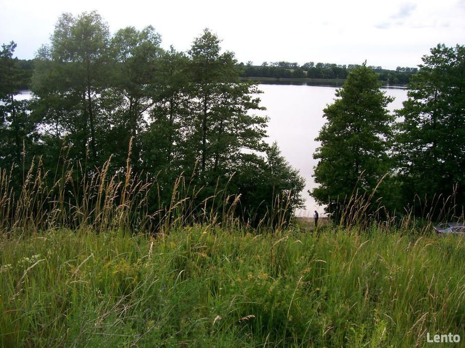 Działka rolna Chłopowo. Zdjęcie 3