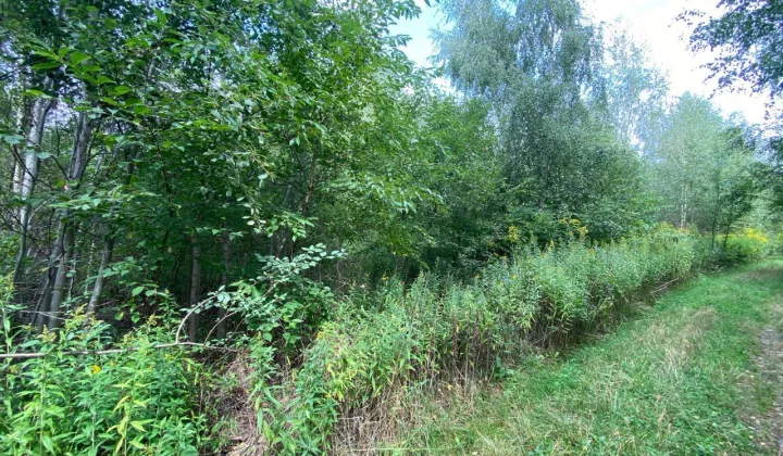 Działka budowlana Lipków, ul. Ignacego Mościckiego