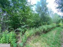 Działka budowlana Lipków, ul. Ignacego Mościckiego