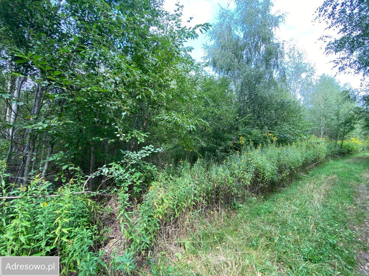 Działka rolna Lipków, ul. Ignacego Mościckiego