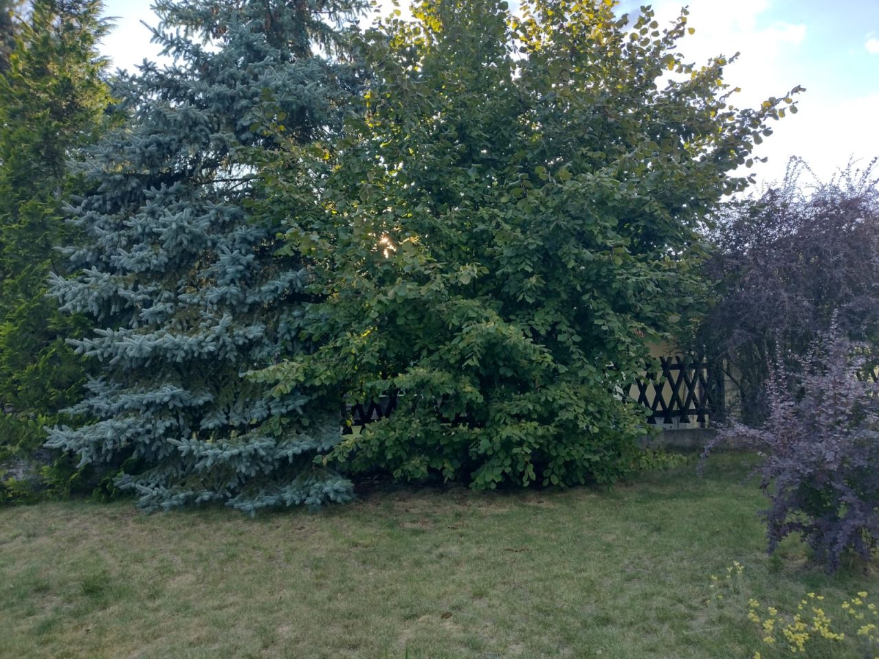 Działka rekreacyjna Kępa. Zdjęcie 10