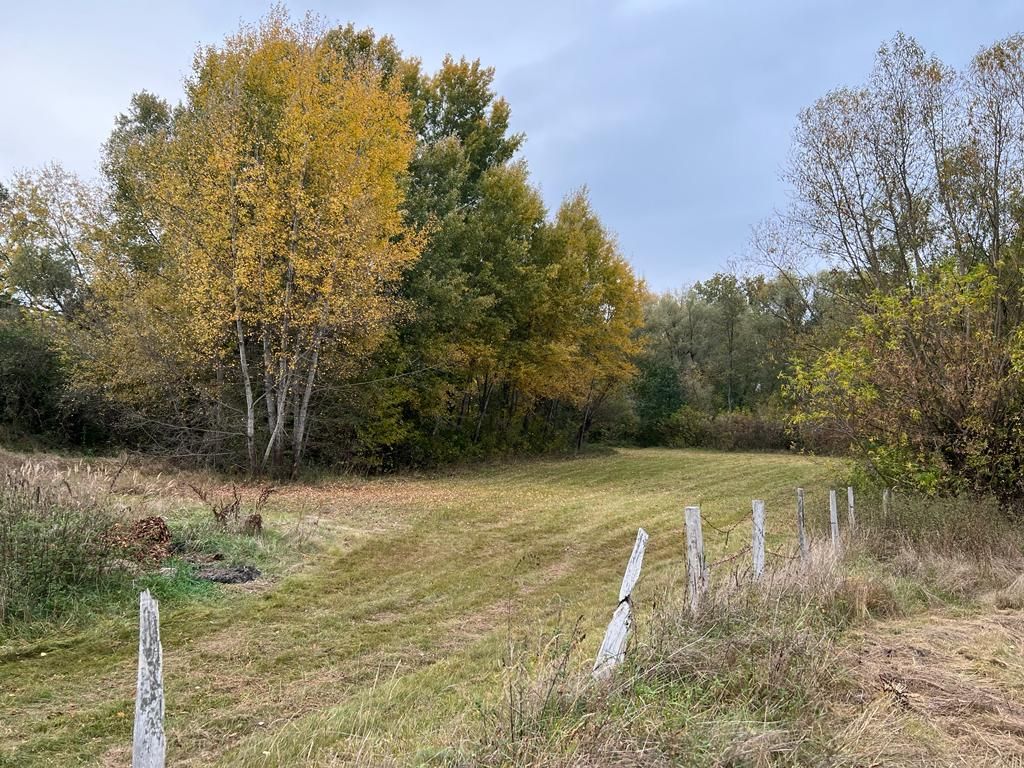 Działka rolno-budowlana Głusk. Zdjęcie 4