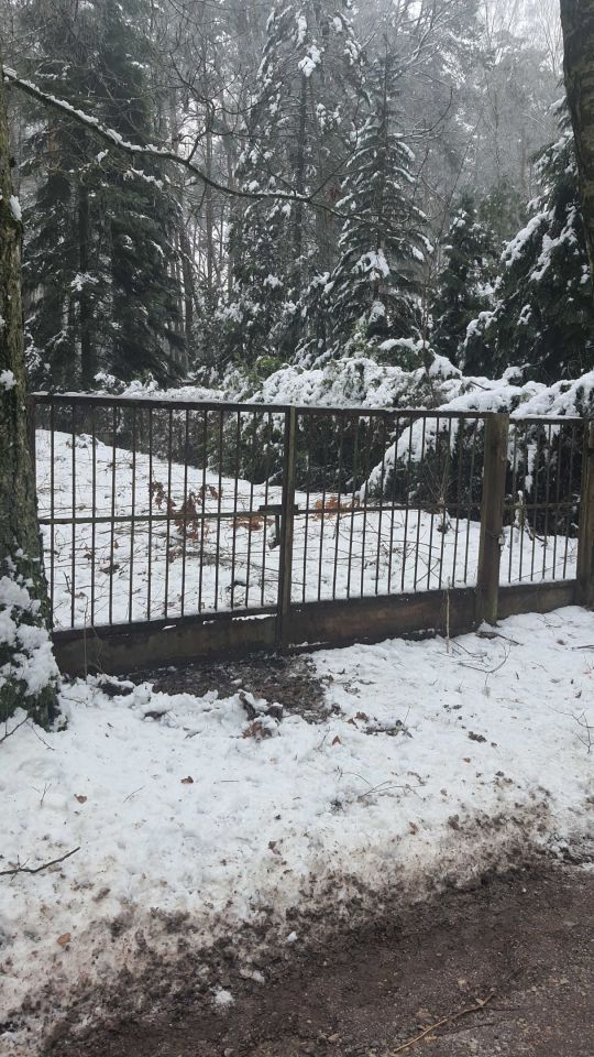 Działka budowlana Zofiówka, ul. Cienista. Zdjęcie 2