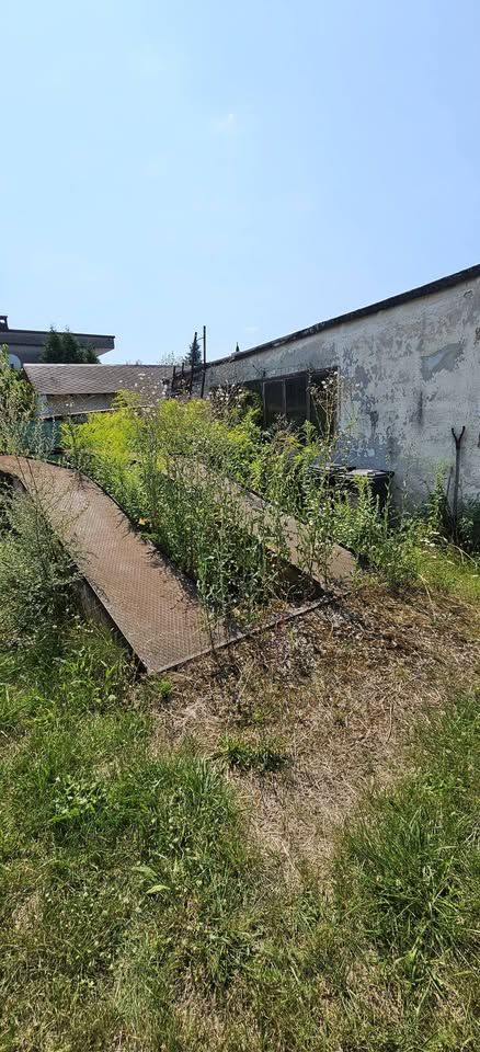dom wolnostojący, 3 pokoje Gliwice Kopernik, Las Łabędzki. Zdjęcie 6