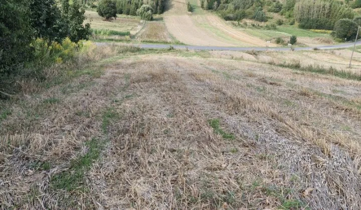 Działka rolno-budowlana Braciejówka