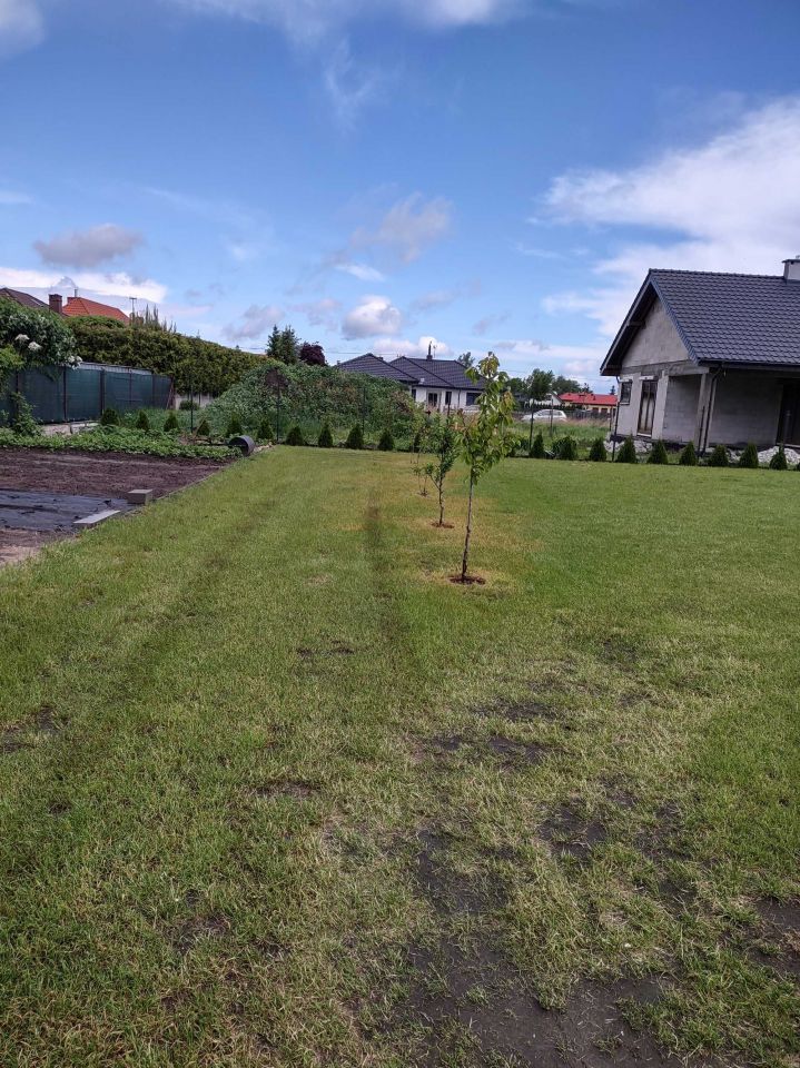 Działka budowlana Jacewo. Zdjęcie 4