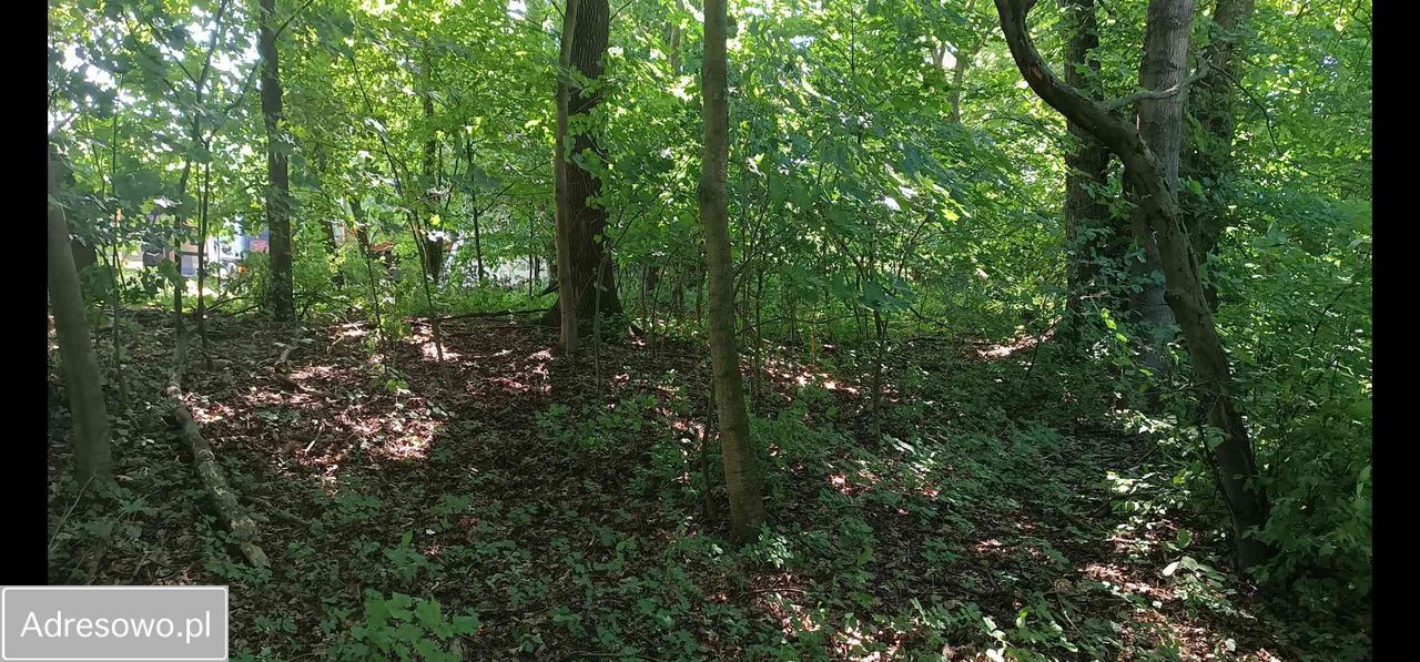 Działka rolno-budowlana Siekierowice. Zdjęcie 9