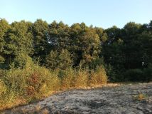 Działka rolna Męcikał Męcikał-Struga. Zdjęcie 3