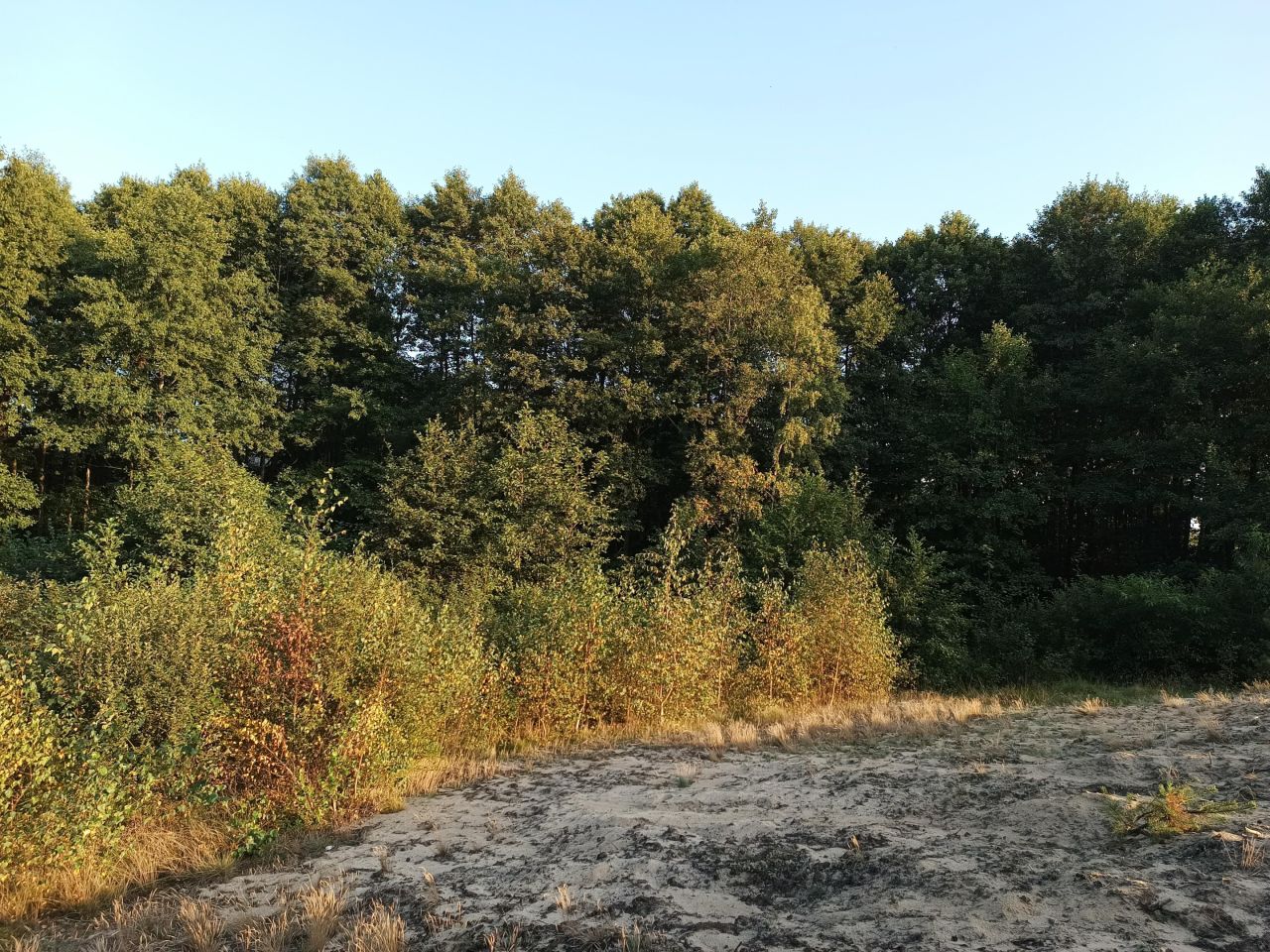 Działka rolna Męcikał Męcikał-Struga. Zdjęcie 4