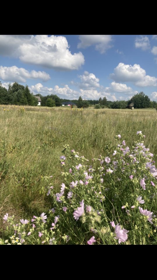 Działka budowlana Niewodnica Nargilewska. Zdjęcie 3