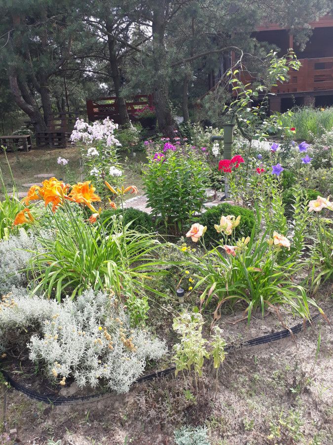 dom wolnostojący, 3 pokoje Brzóze Małe. Zdjęcie 2