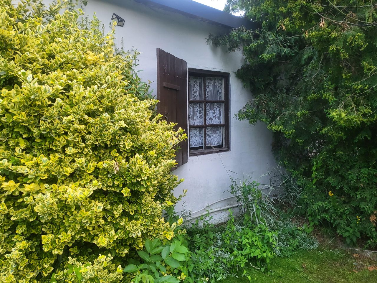 Działka rod Chorzów Pniaki, ul. Opolska. Zdjęcie 4