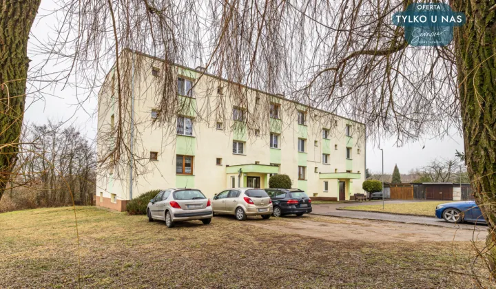 Mieszkanie 3-pokojowe Skęczniew