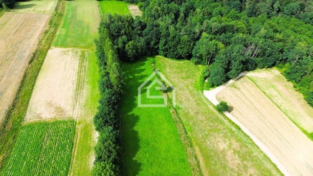 Działka rolno-budowlana Łąkta Górna. Zdjęcie 8