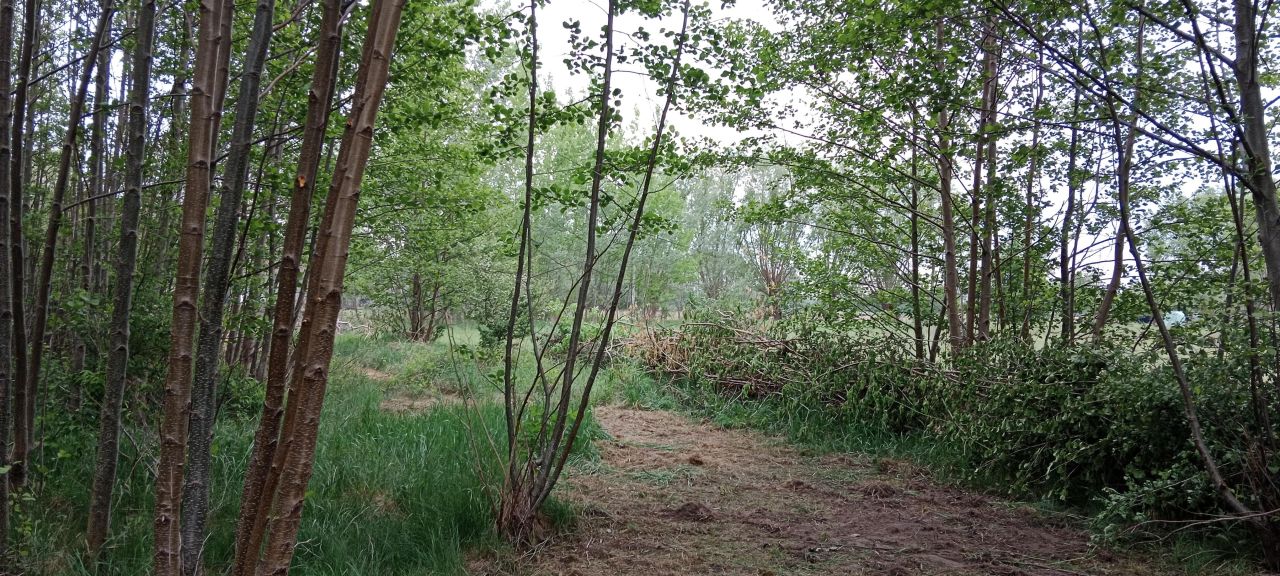 Działka budowlana Grodzisk Mazowiecki, ul. Szczęsna. Zdjęcie 4