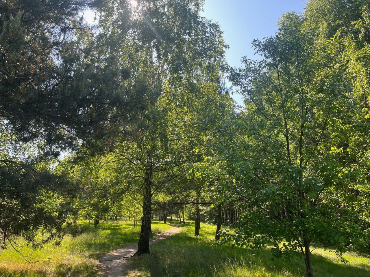 Działka budowlana Aleksandrów Łódzki, ul. Torfowa. Zdjęcie 7