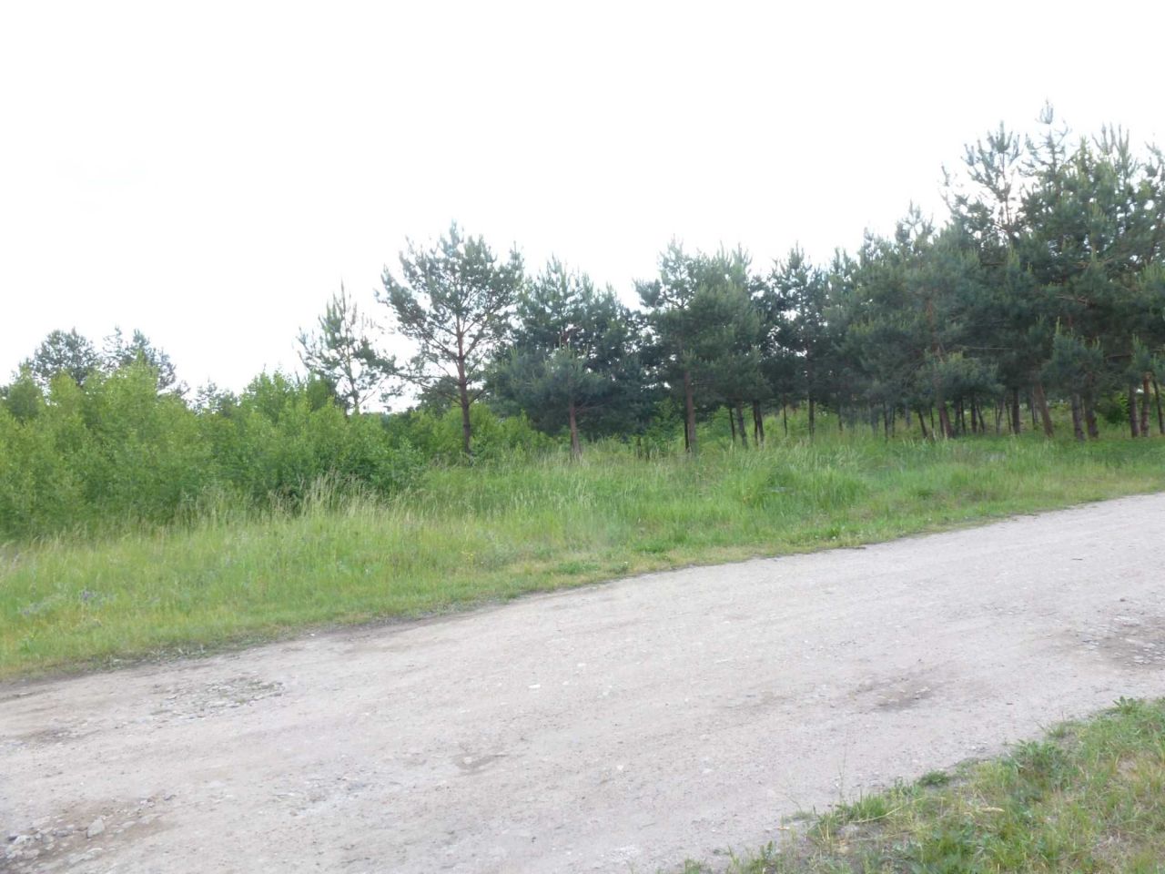 Działka budowlana Zamek Bierzgłowski, ul. Magnacka. Zdjęcie 4