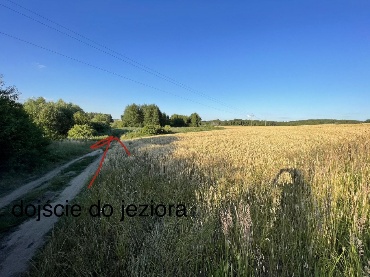 Działka rekreacyjna Załęże. Zdjęcie 3