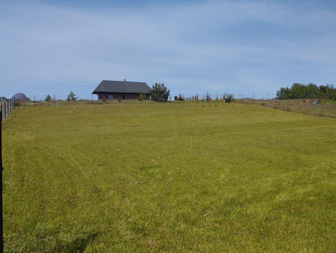 Działka rolna Krajęczyn. Zdjęcie 4