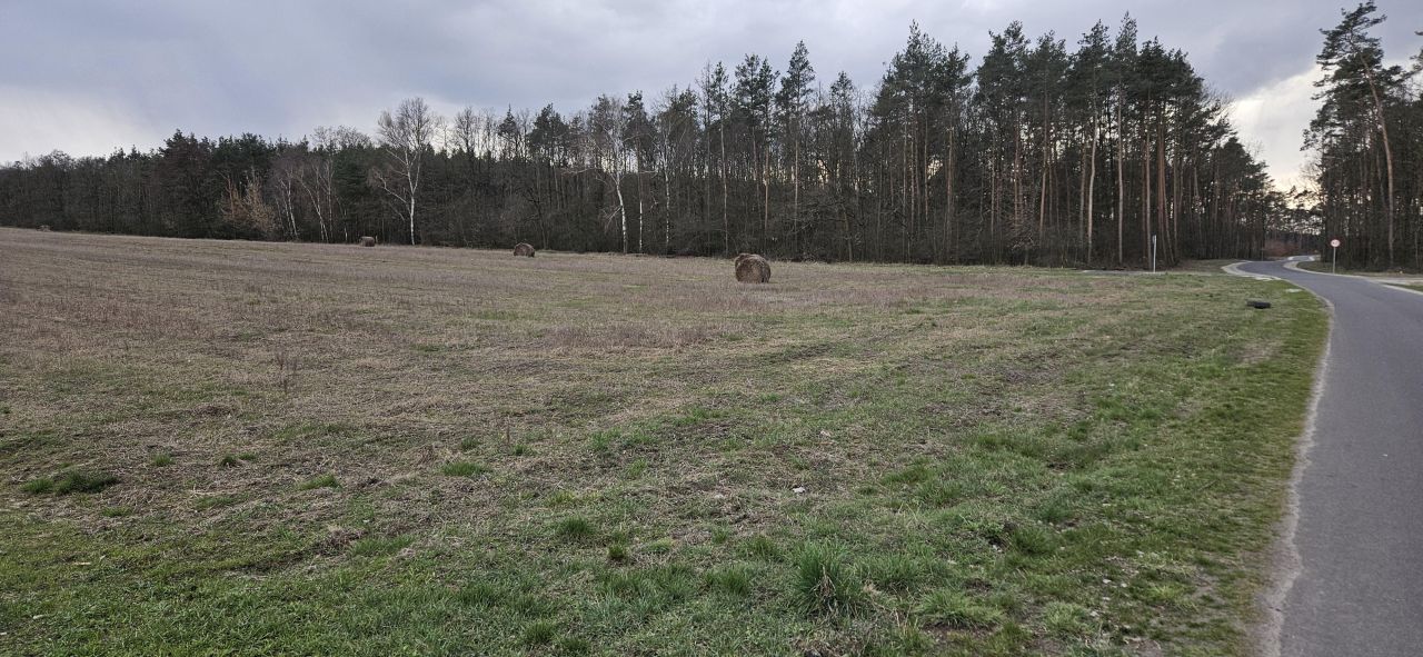 Działka budowlana Kościelec, ul. Różana. Zdjęcie 3