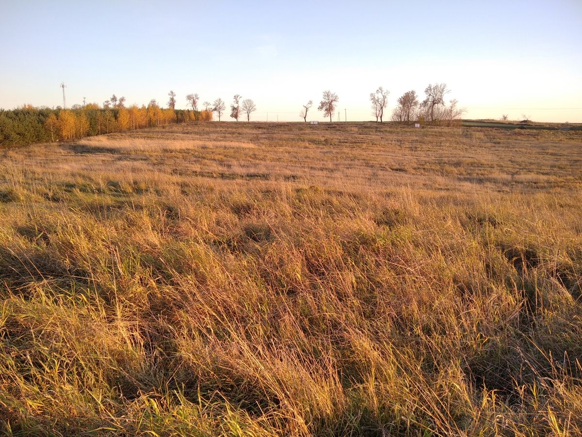 Działka inwestycyjna Lelów, ul. Szczekocińska. Zdjęcie 6