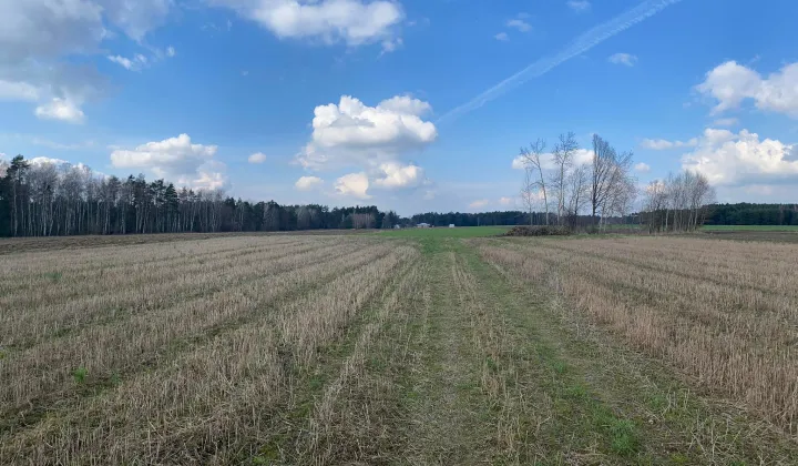 Działka budowlana Panaszew