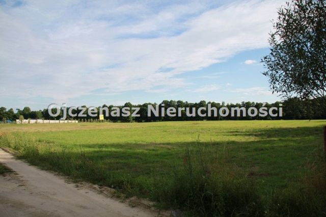 Działka budowlana Skępe. Zdjęcie 1