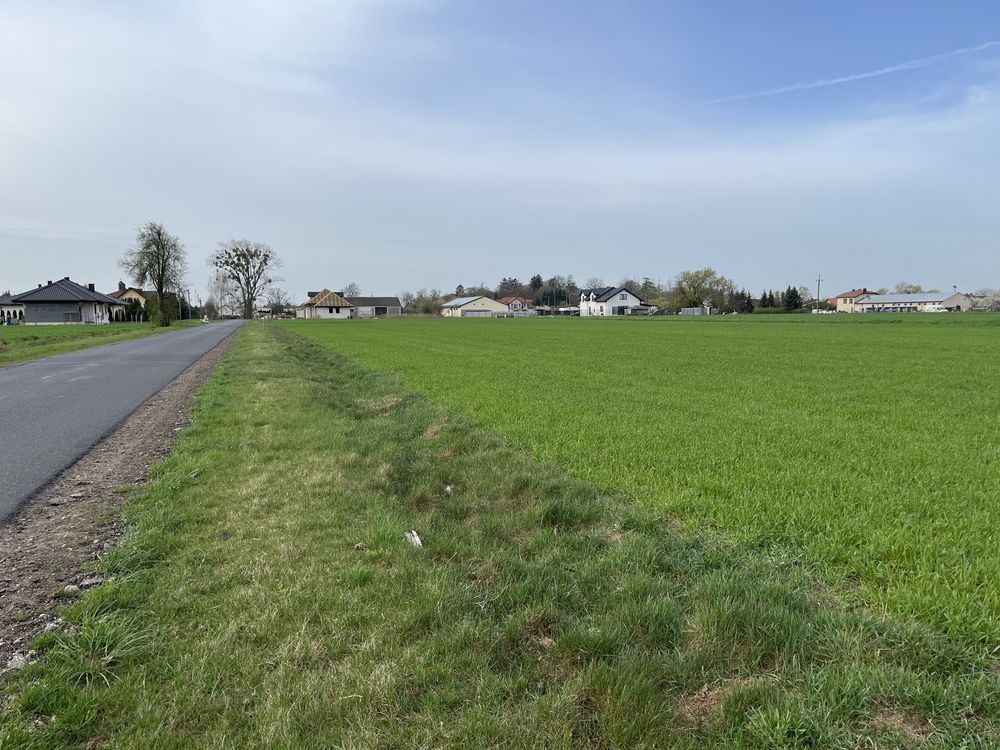 Działka budowlana Lelice. Zdjęcie 3