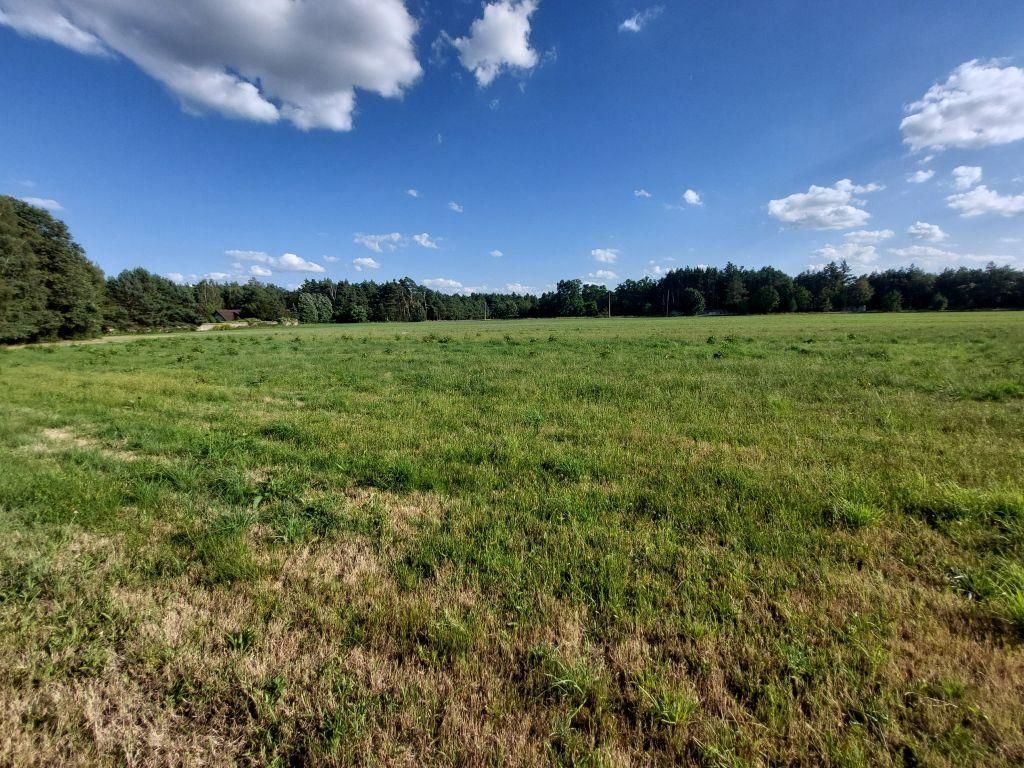 Działka rolno-budowlana Zamęty. Zdjęcie 11