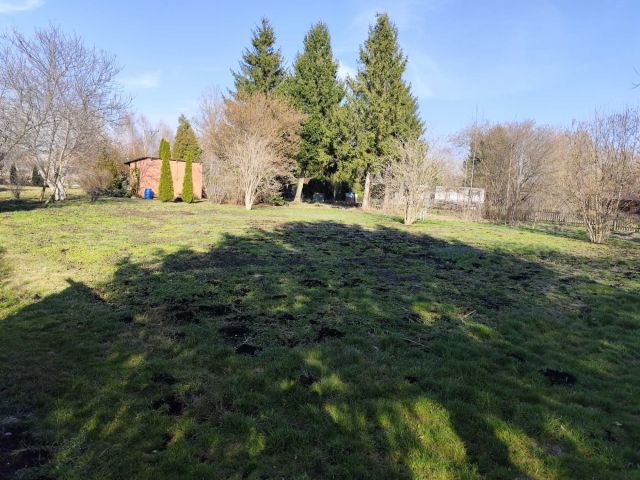 Działka rod Opoczno. Zdjęcie 1