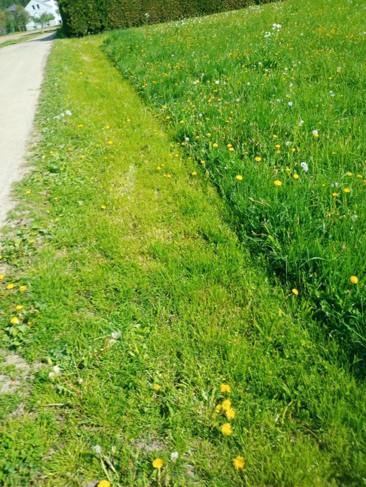 Działka rolno-budowlana Jedlicze Męcinka, ul. Jesionowa. Zdjęcie 4