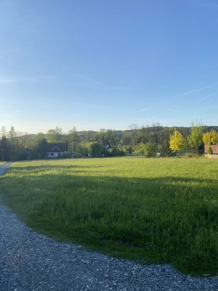 Działka rolno-budowlana Sobolów. Zdjęcie 3