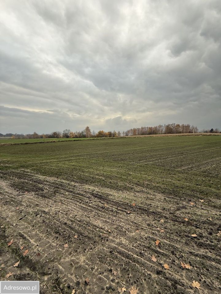 Działka rolna Piekary Śląskie Dąbrówka Wielka. Zdjęcie 8