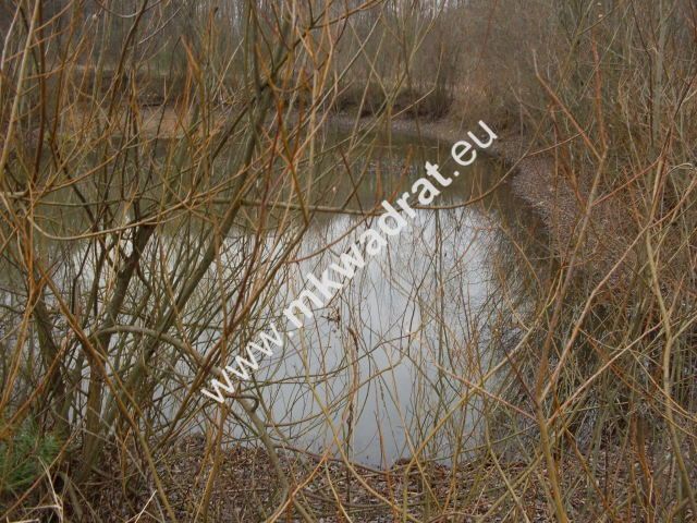 Działka rolna Korabiewice. Zdjęcie 4