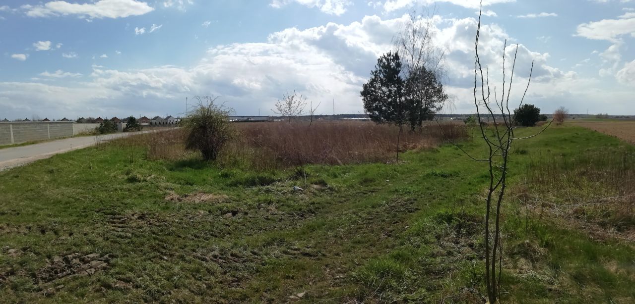 Działka rolno-budowlana Janczewice, ul. Żytnia. Zdjęcie 6