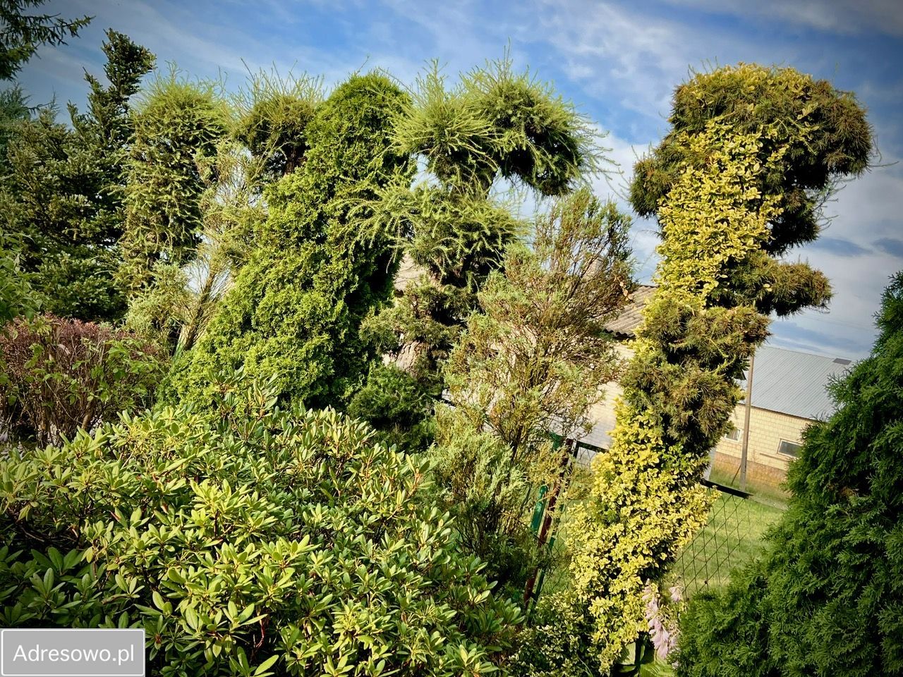 dom wolnostojący, 2 pokoje Wróble-Wargocin. Zdjęcie 14