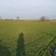 Działka budowlana Popowo-Parcele, ul. Widokowa. Zdjęcie 1