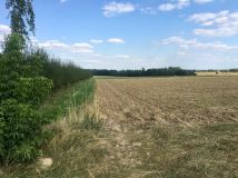 Działka siedliskowa Bratoszewice, ul. Ogrodnicza. Zdjęcie 3