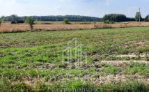 Działka rolna Rudno. Zdjęcie 4