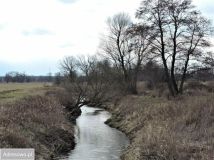 Działka rolna Kąck, ul. Malownicza. Zdjęcie 3