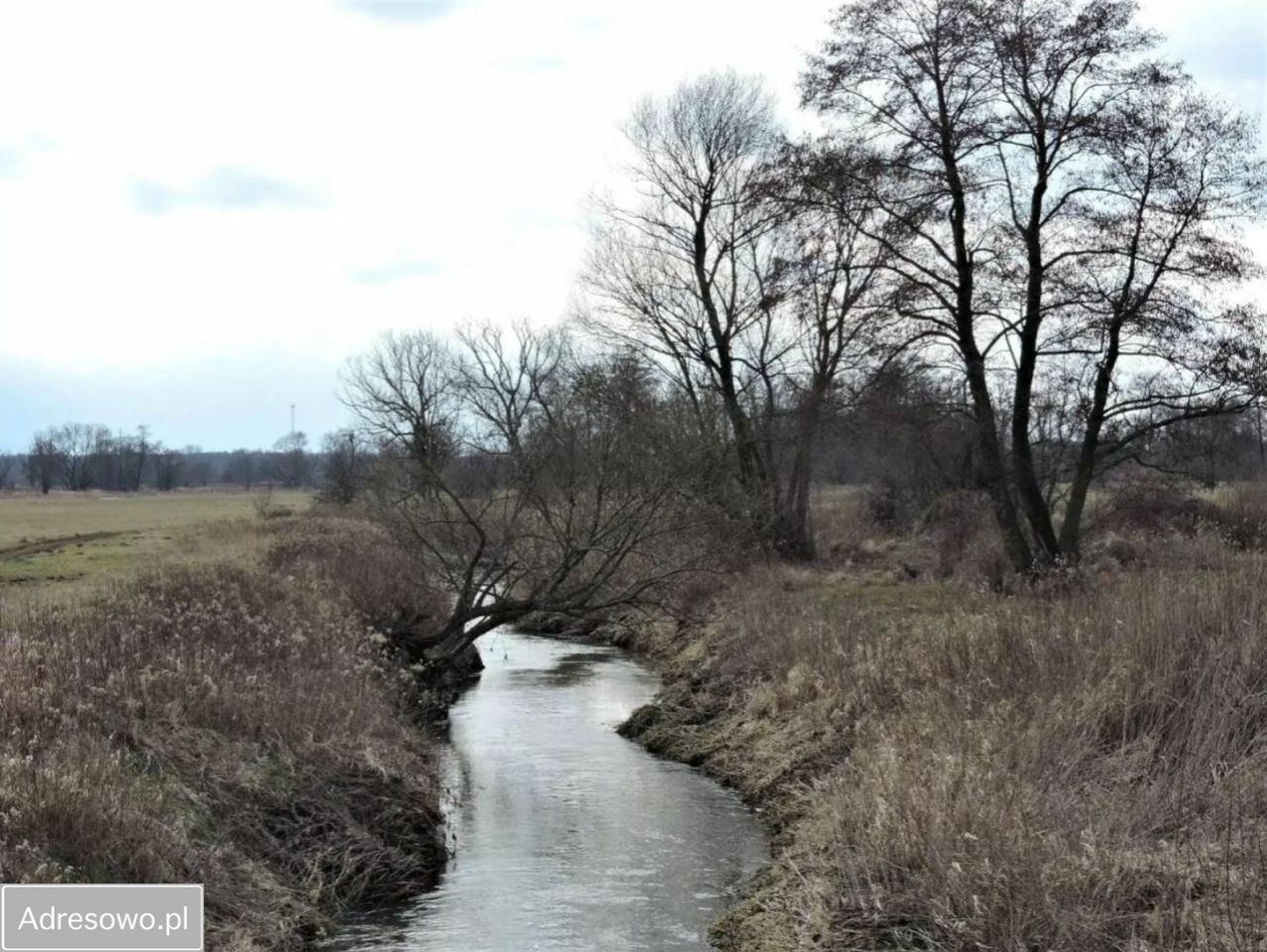 Działka rolna Kąck, ul. Malownicza. Zdjęcie 4