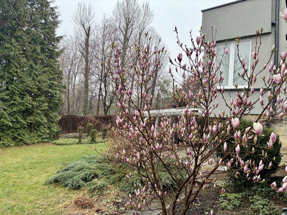 Mieszkanie 3-pokojowe Bielsko-Biała. Zdjęcie 6