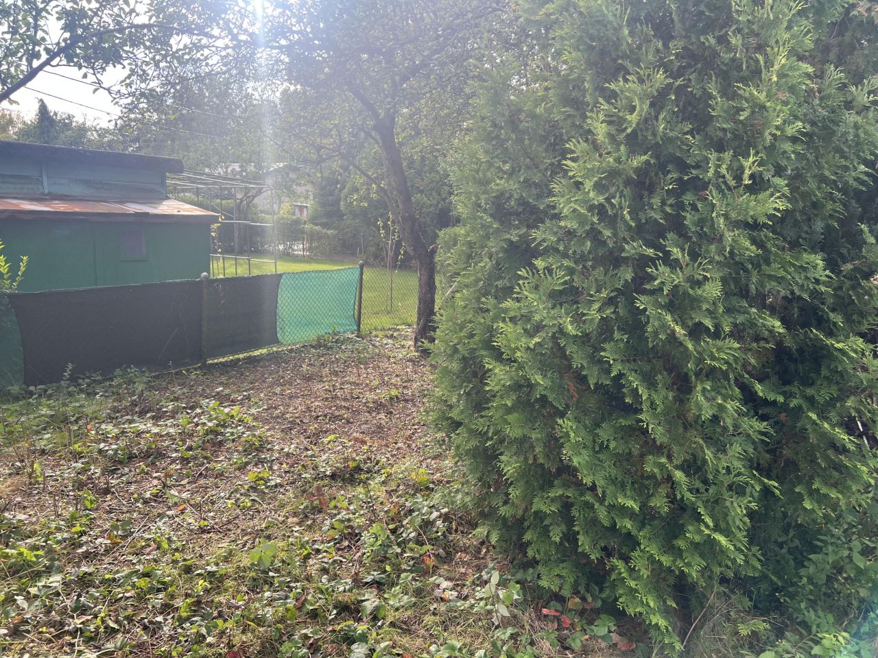 Działka rod Warszawa Włochy, ul. Ogrodników. Zdjęcie 9