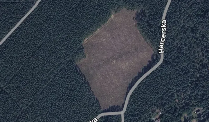 Działka leśna Piłka
