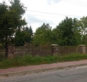 Działka budowlana Borki. Zdjęcie 1