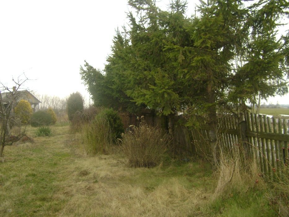 Działka rolno-budowlana Zwola. Zdjęcie 4