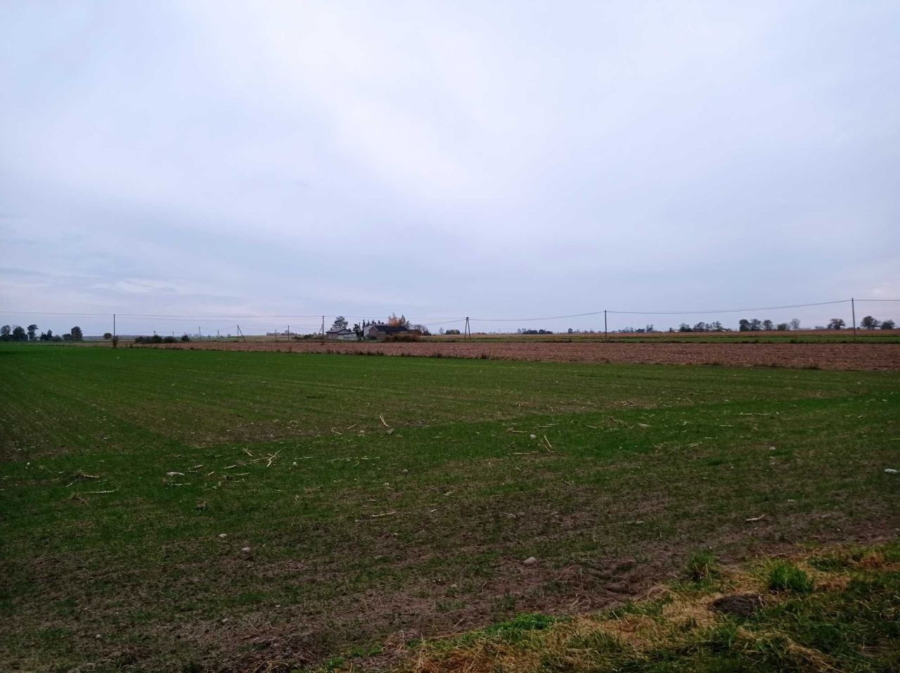 Działka rolno-budowlana Wyręby Siemienickie. Zdjęcie 7